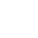 phone-icon